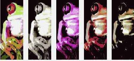 ��������� ��������� ����������� �� ����������� �����������