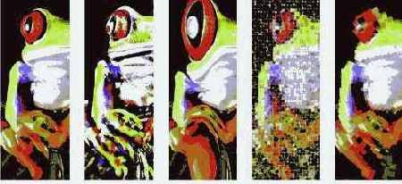 ���������� ����������� �������� � ��������� ������������