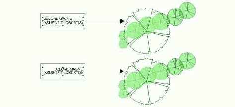 ������������ � ��������� ������