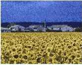 ����� ����� ���������