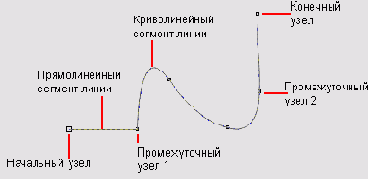 �������� � ���� �����