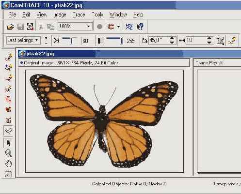 ���� ��������� �����������