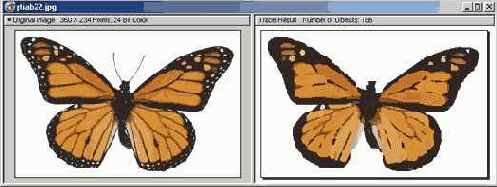 ����������� ��������� �����������