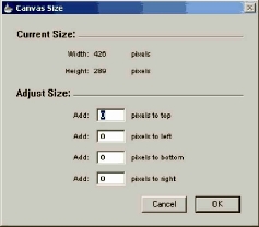 ���� Canvas Size