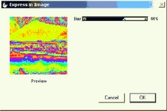 ���� Express in Image