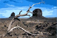 ������������������ �����������