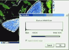 ������� ������� Painter � ����� Equalize