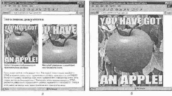 Прочие элементы дизайна