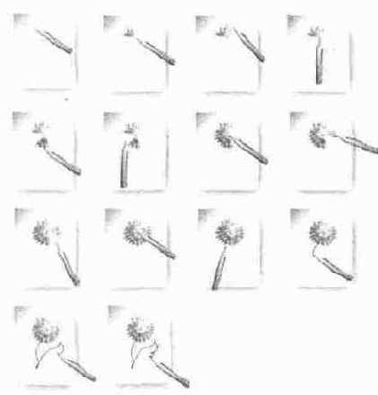 Прочие элементы дизайна