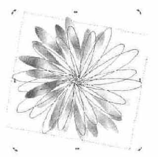 Создание цветка