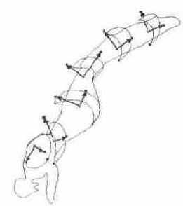 Раскрашиваем стрекозу