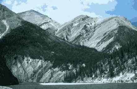 ���������� ���� Brightness/Contrast