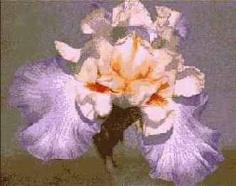 ���������� ���� Liquid Lens