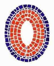 ���� ������