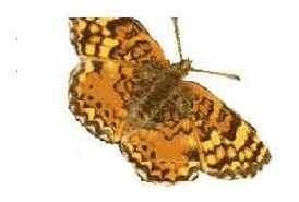 �������� � ���������� ���������