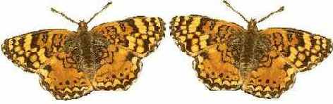 �������� � ���������� ���������