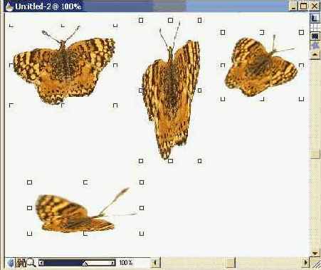 �������������� RL