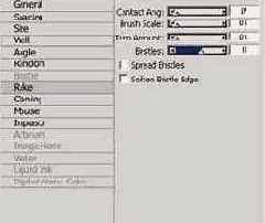 ������ Rake