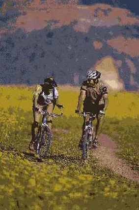 ���������� ��������� ��������