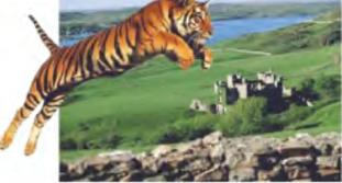 ������� �. - ����� ���������� �����