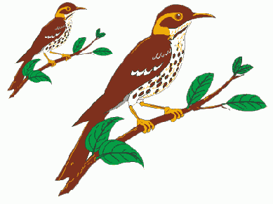 ��������� ����������� ����� � ��������; ������ � ����������� �� 200 %