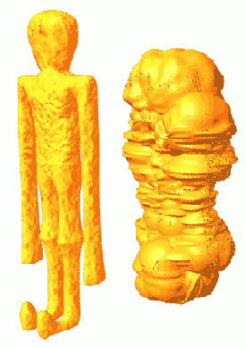 � ������ ���� ���� ����������