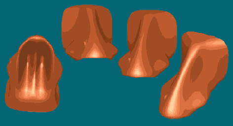 ������������ �������� ���������� ������������ ����������� ���������