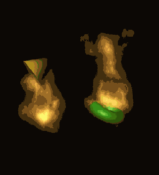 ������� �����, ����� ����