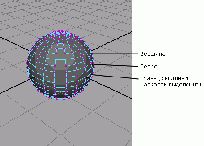 ������������� ����� � ������������ �� ����������