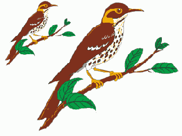 ��������� ����������� ����� �