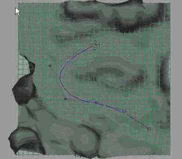 ���������� CV������ �������