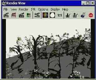 ������������� �������� ���������