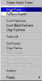 ���� �� Flash