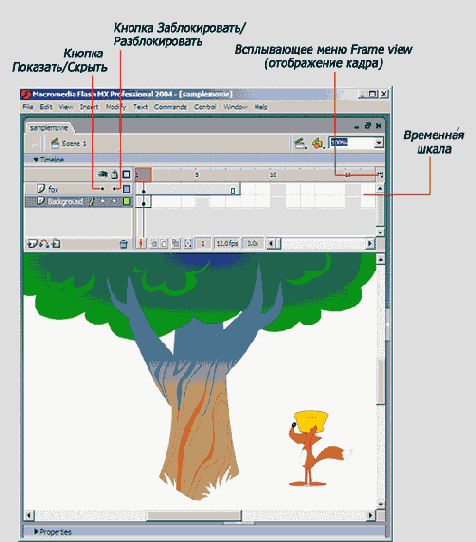 ������� ���� Flash