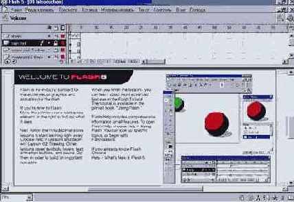 ���� ��������� Flash � ��������� �����������