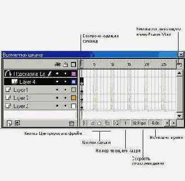 ���� Timeline