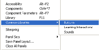���� Common Libraries ����� �������� ���������� ����������