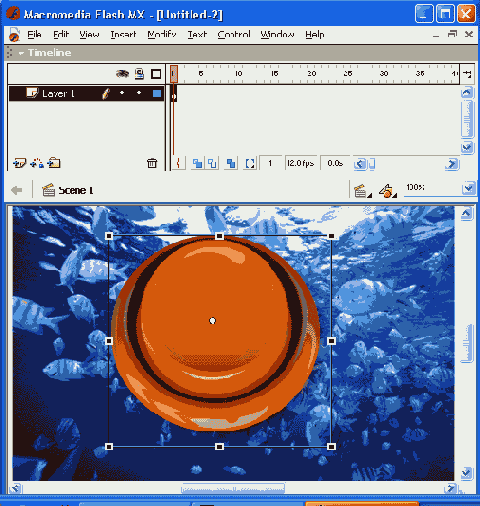 ������ ���� Flash ��� ��������������