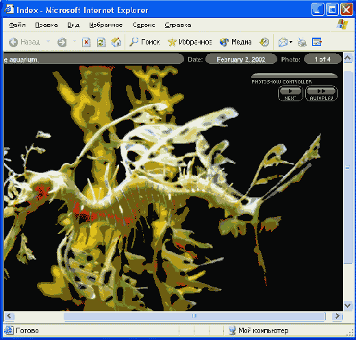 ���� �� ������� �����