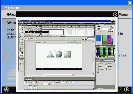�������� Flash���������� ����������������