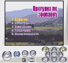 �������� DVD-�������