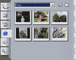 ��� ��� � �������