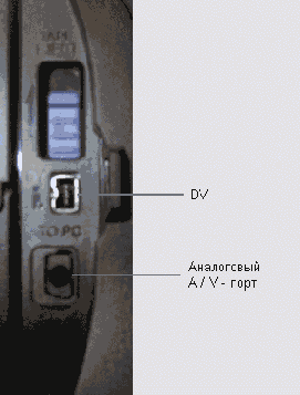 � ���� ������ Canon GL2. 