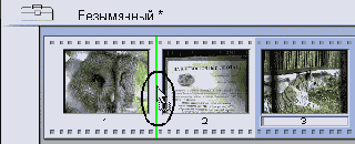 ����� �� ������� ������� �����