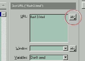 ����������� ���������� Flash