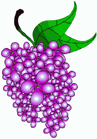 ��� ������ ������ ��� ��������