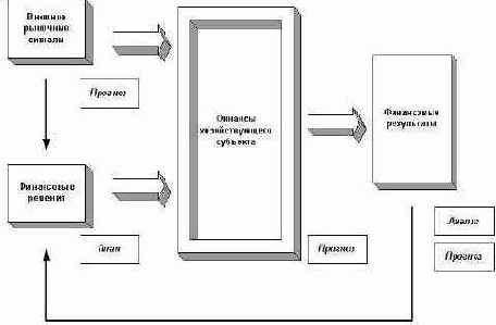 Фондовый менеджмент как разновидность финансового менеджмента