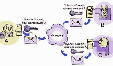 ������������� ����������