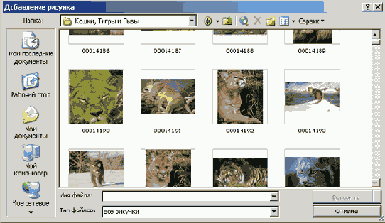 ���������� ���� ���������� �������