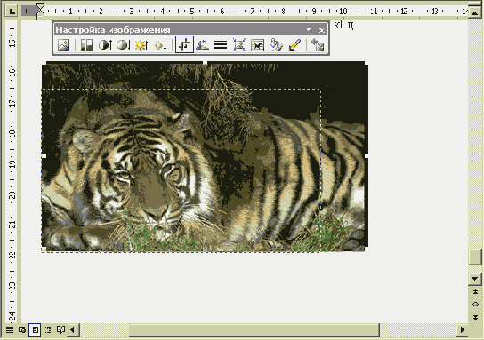 ������� �����������